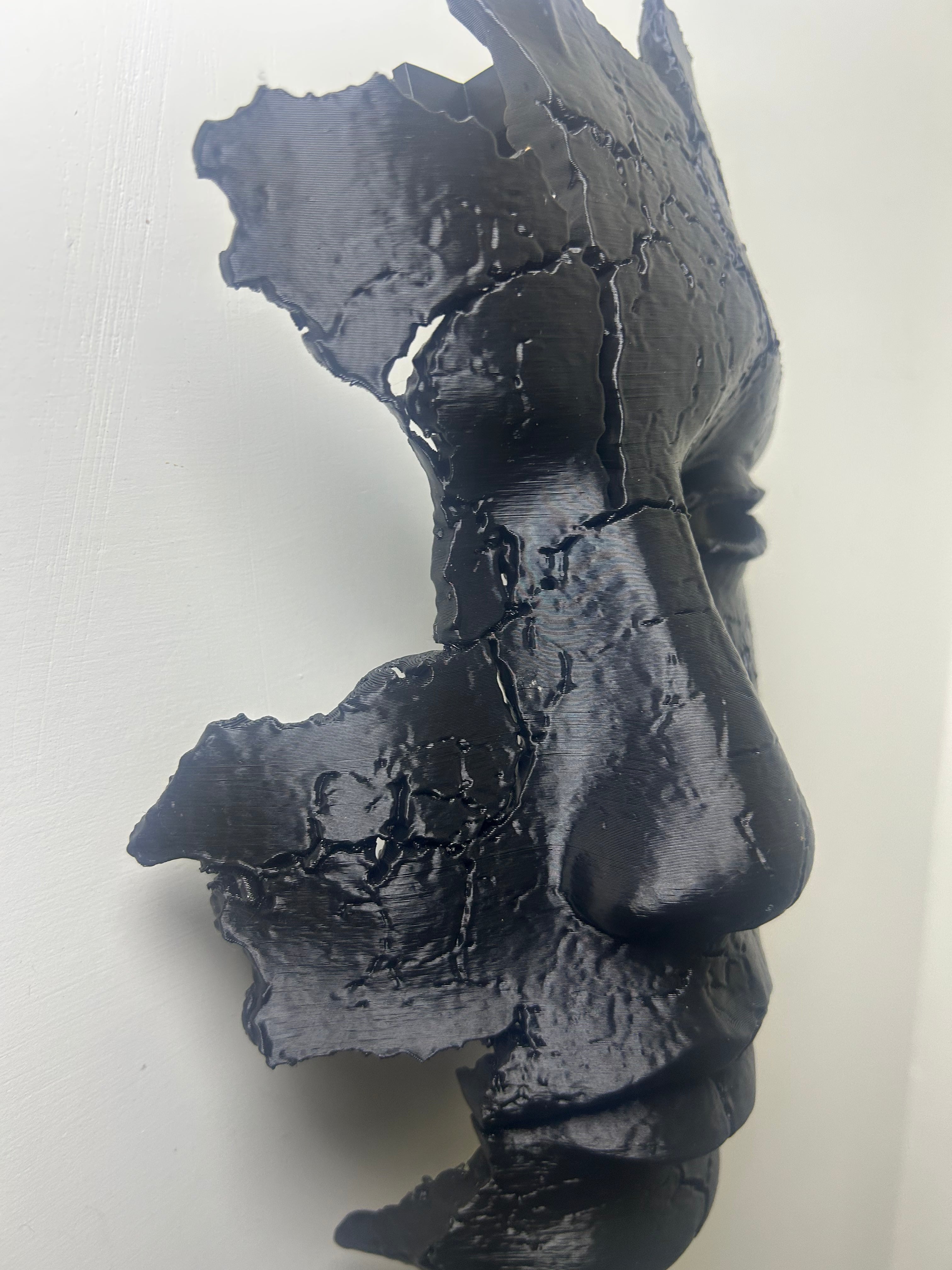 Maschera senz'anima 3D