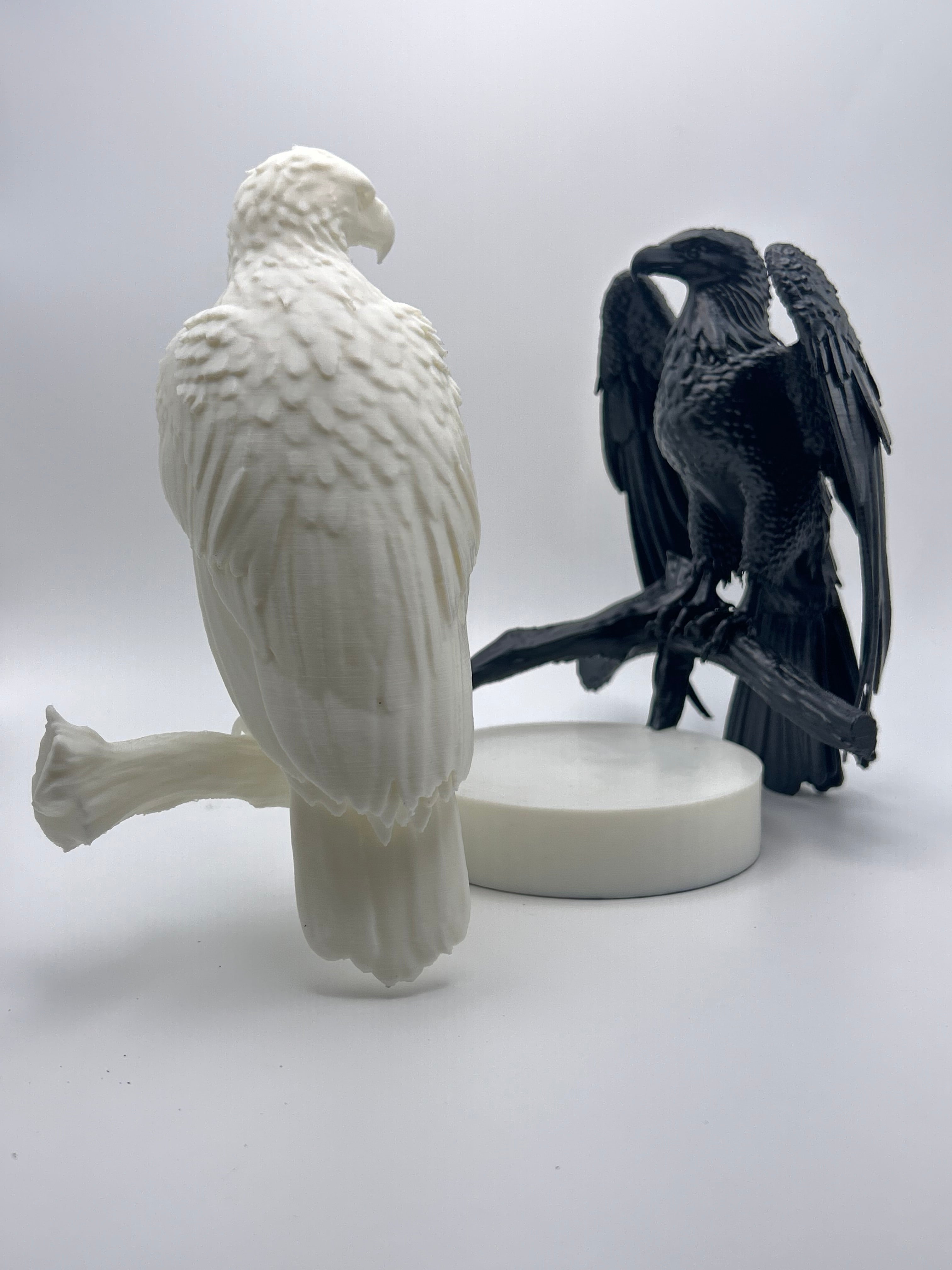 Aquila e Fenice - Scultura Decorativa Moderna